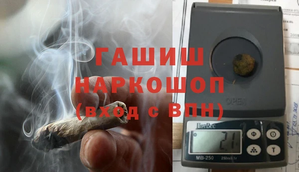 стаф Алзамай