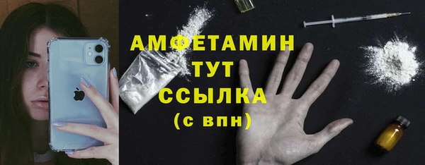 стаф Алзамай