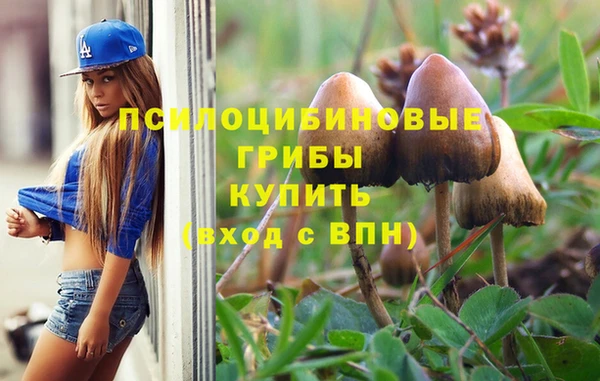 ПСИЛОЦИБИНОВЫЕ ГРИБЫ Алексеевка