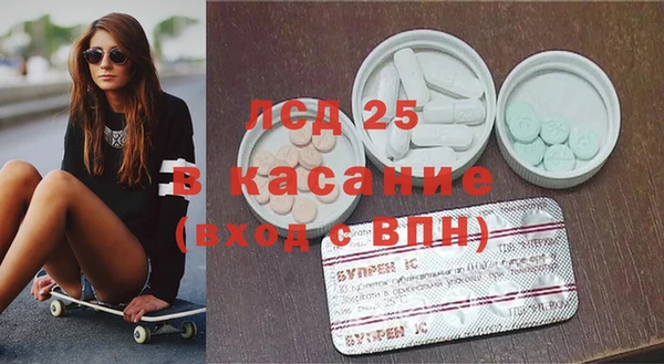 стаф Алзамай