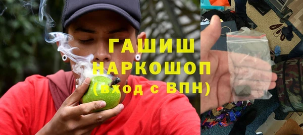стаф Алзамай