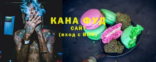 стаф Алзамай