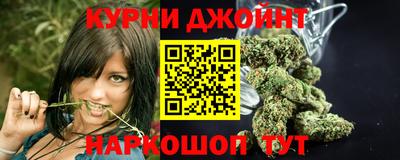сатива Волжский