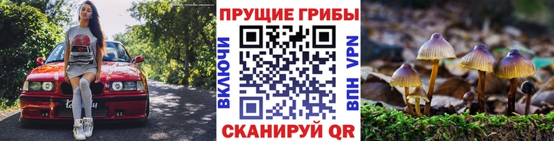 Псилоцибиновые грибы ЛСД Йошкар-Ола