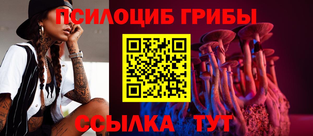 Галлюциногенные грибы GOLDEN TEACHER Йошкар-Ола