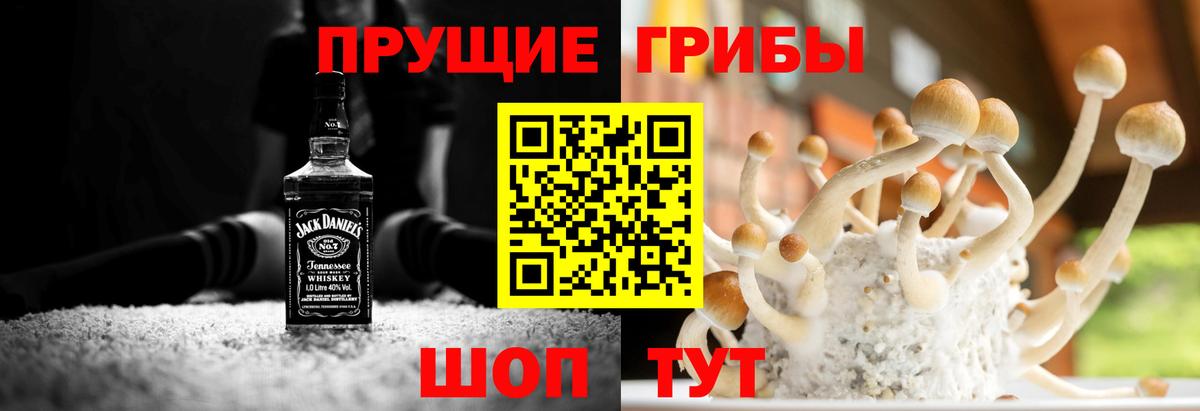Йошкар-Ола  где найти   Вход с VPN  Псилоцибиновые грибы Magic Shrooms 