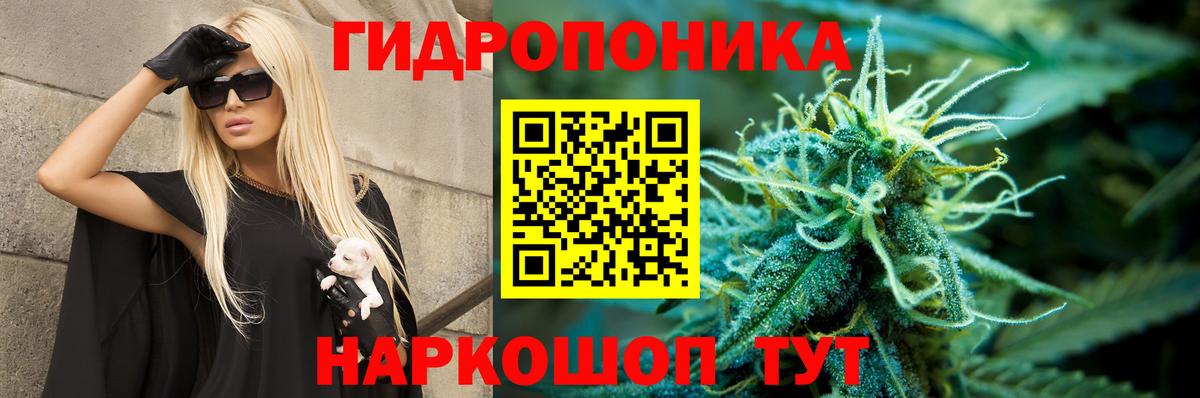 Бошки марихуана планчик  Каннабис индика  Йошкар-Ола  Бошки марихуана THC 21%  Вход с VPN 